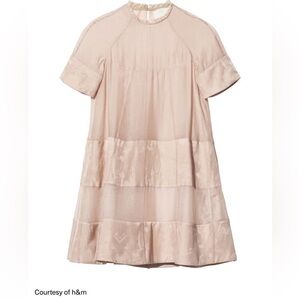 H&M Conscious Collection 2016 Exclusive Trapeze Novelty Deer Swan Print Dress 10